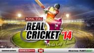 Real Cricket 14 - screenshot